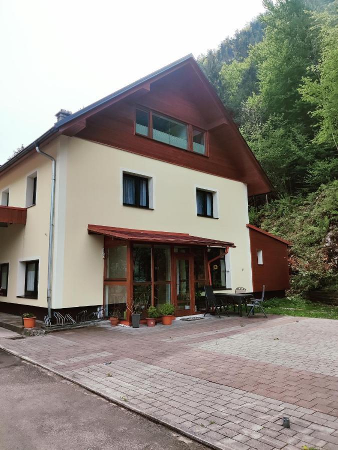 Seeblick Krippenstein Obertraun Eksteriør bilde