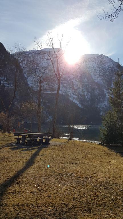 Seeblick Krippenstein Obertraun Eksteriør bilde